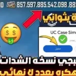 صورة توضيحية عن لعبة ببجي نسخة الشدات